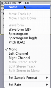 Track Options menu
