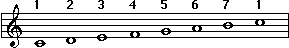 Major Scale