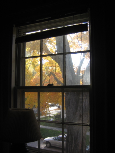 Bedroom window II