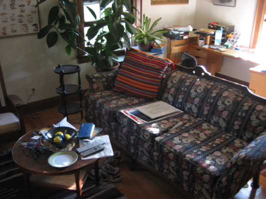 Living Room IV